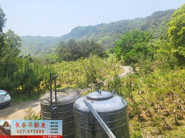 苗栗農地-5