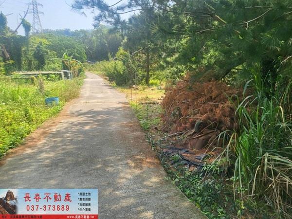 苗栗農地-6