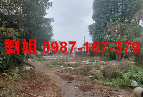 仁武工業地-1