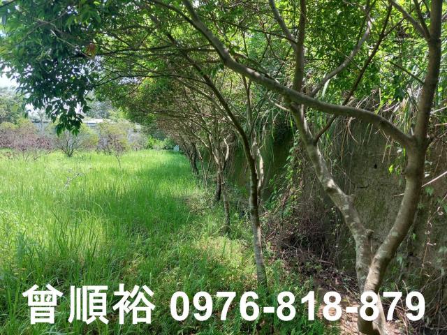 新竹農地-3