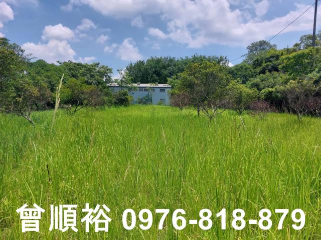 新竹農地-4