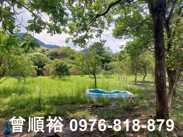 新竹農地-7