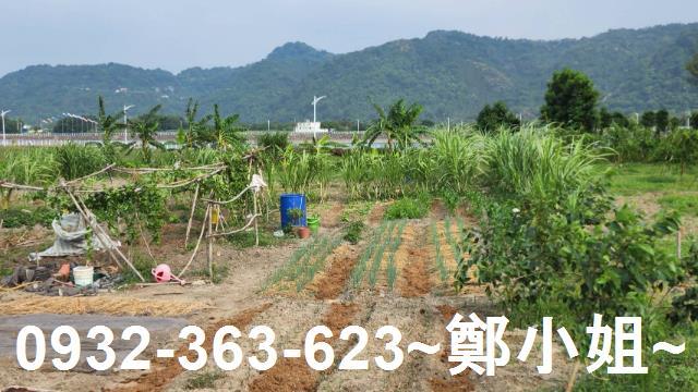 大溪農地-2