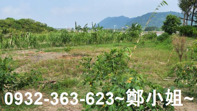 大溪農地-3