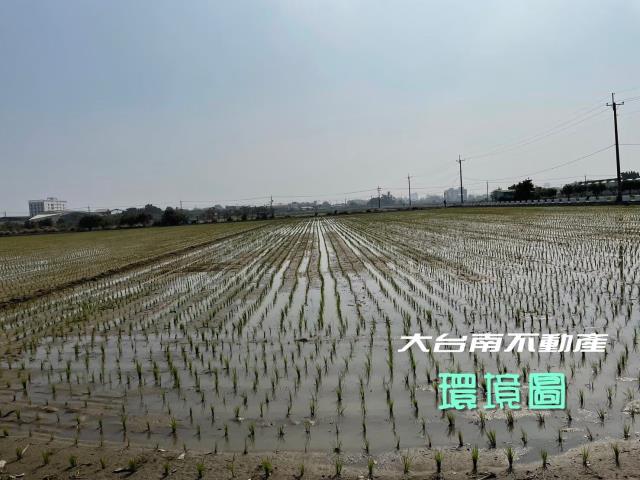 台南善化農地-4