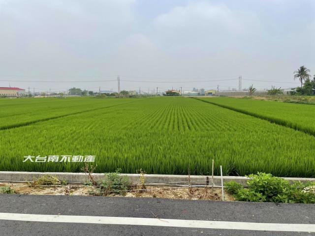 台南新市農地-1