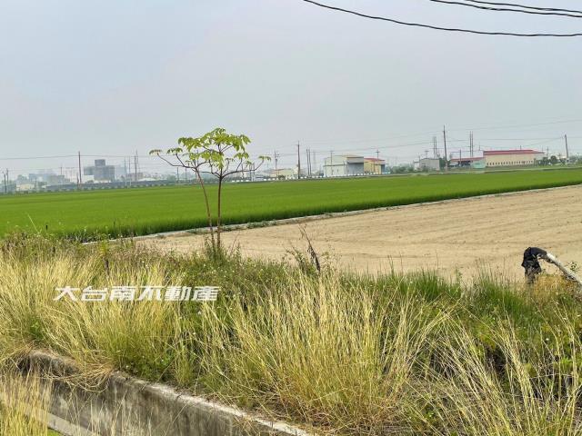 台南新市農地-2