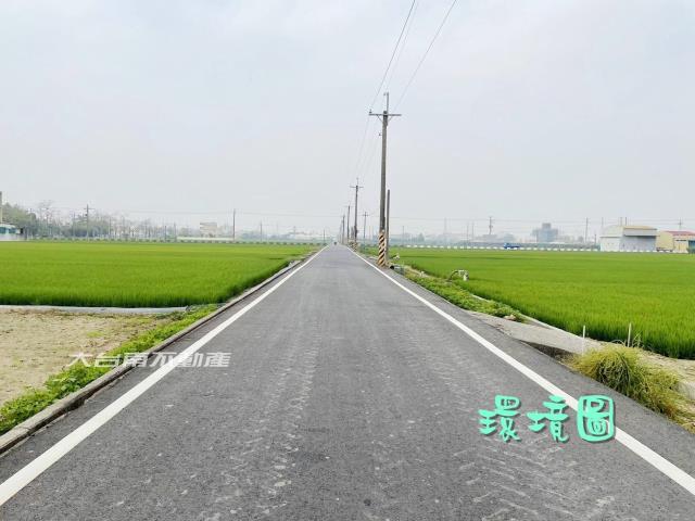 台南新市農地-4