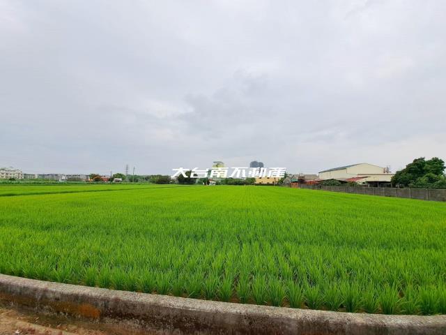 台南善化農地-1