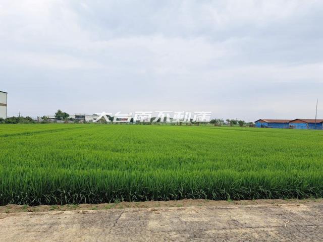 台南善化農地-3