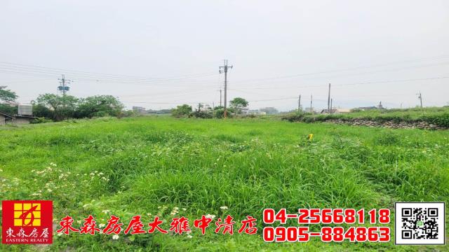 台中外埔農地-2