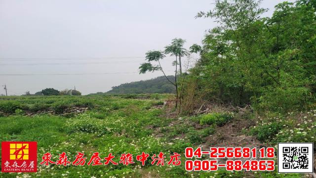 台中外埔農地-3