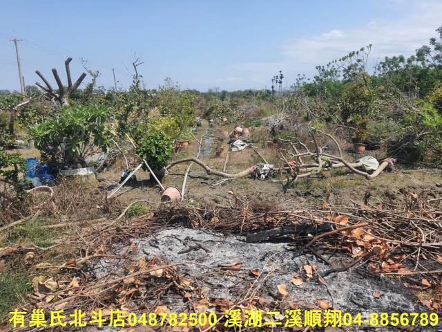 彰化農地-1