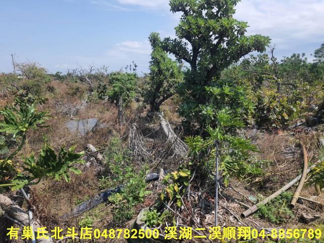 彰化農地-2
