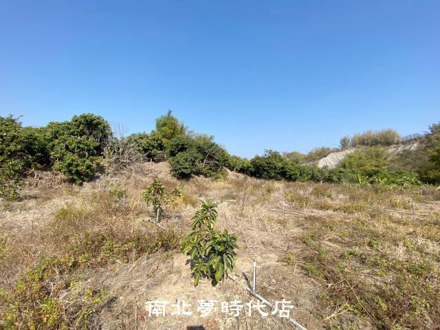 左鎮農地-3