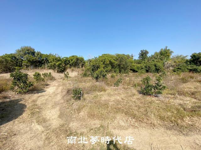 左鎮農地-7