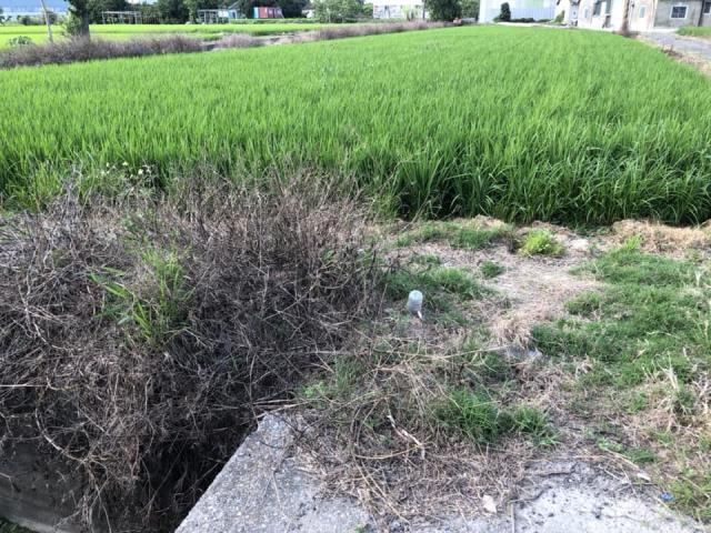 大雅農地-2