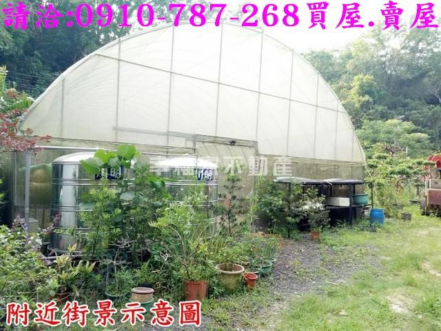 台南林地-10