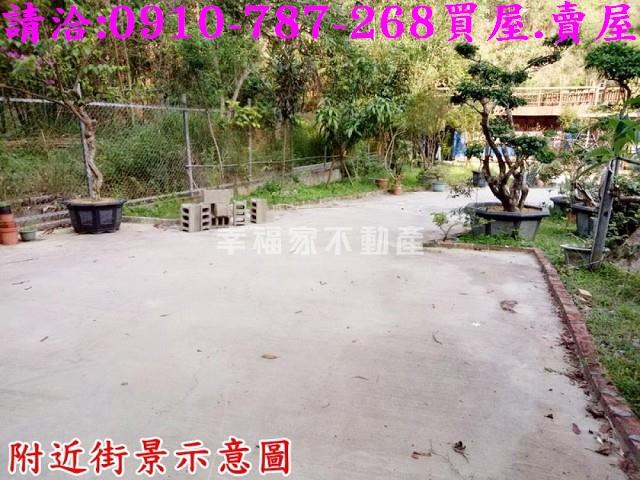 台南林地-13