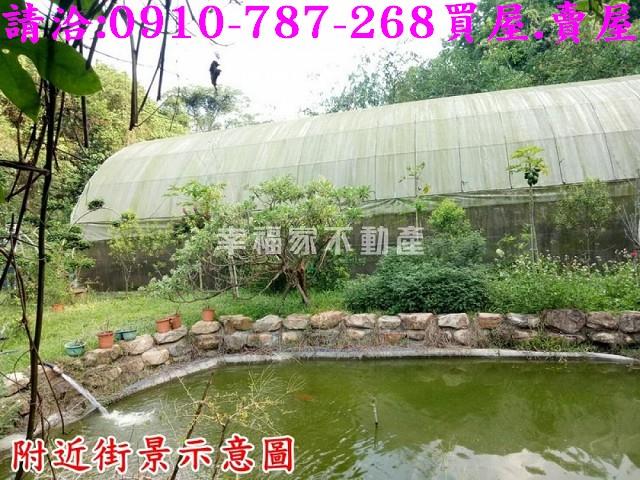 台南林地-14