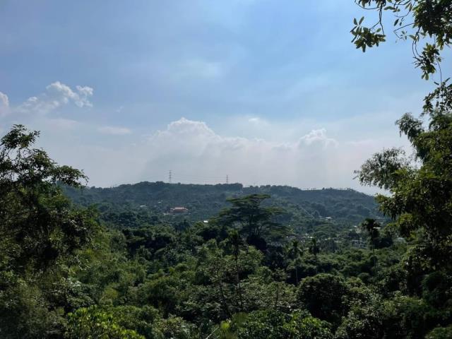 嘉義梅山農地-13