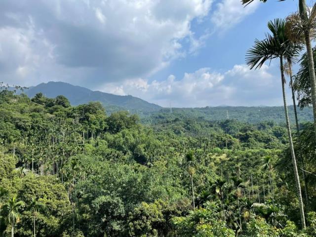 嘉義梅山農地-6