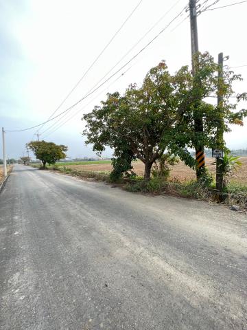 民雄農地-3