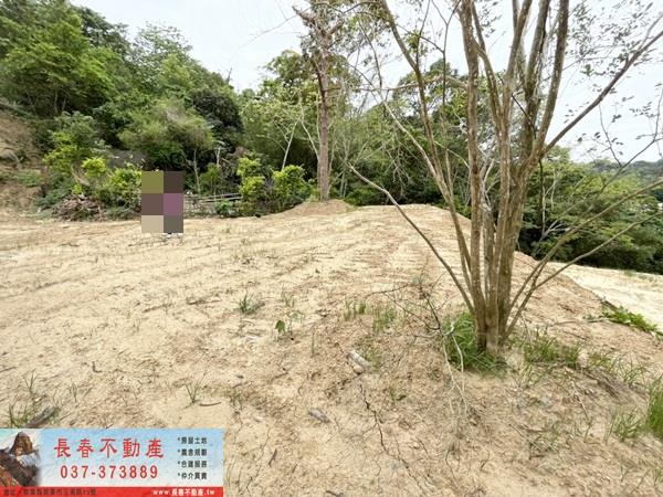 苗栗造橋農地-1