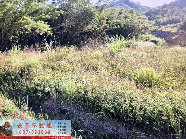 頭屋農地-1