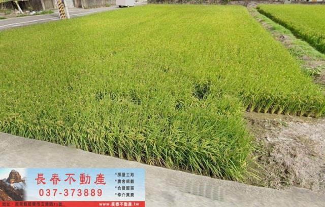 苗栗市農地-1