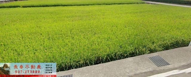 苗栗市農地-2
