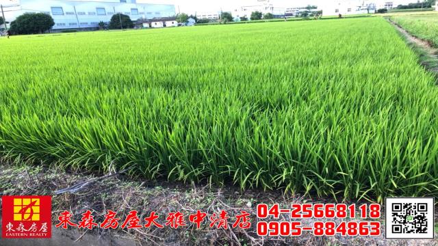 大雅農地-1