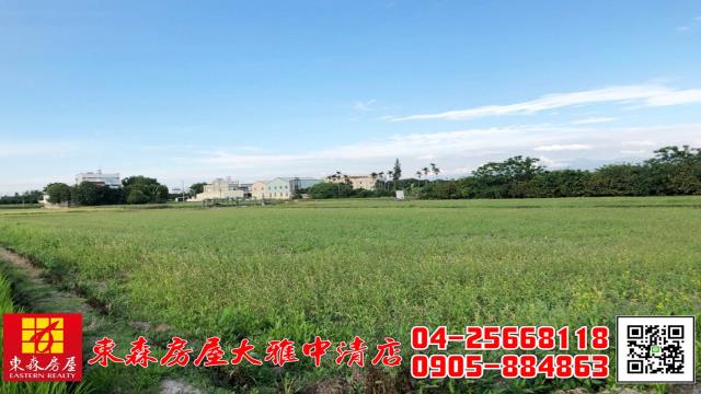 大雅農地-3