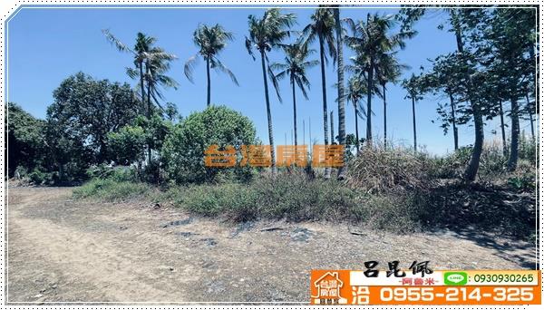 中埔農地-10