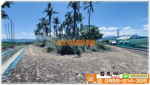 中埔農地-1