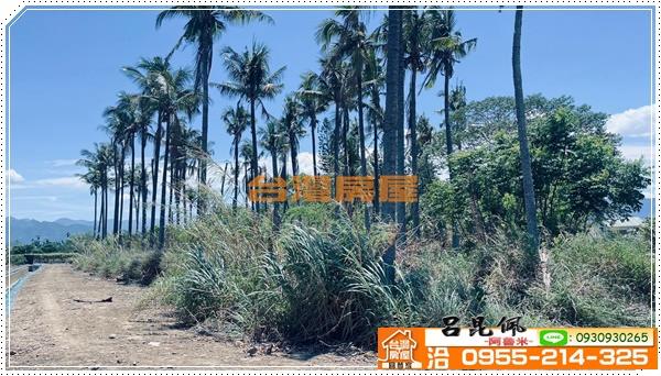中埔農地-2