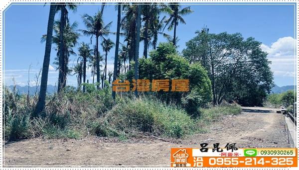 中埔農地-3