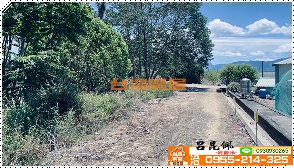 中埔農地-5
