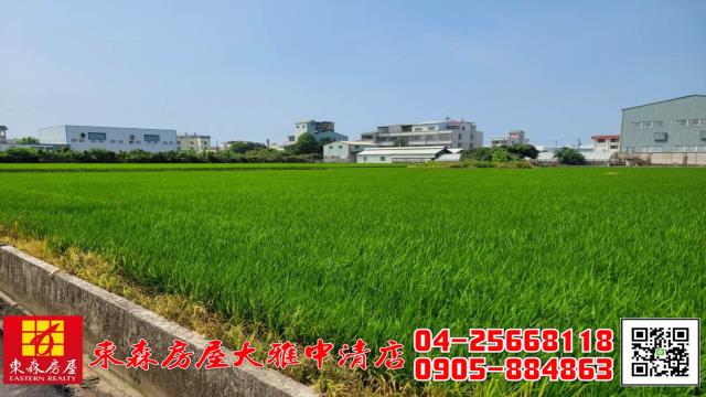 大雅農地-3