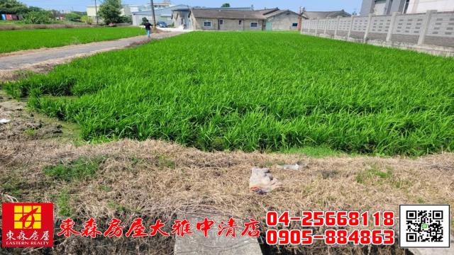 大雅農地-6