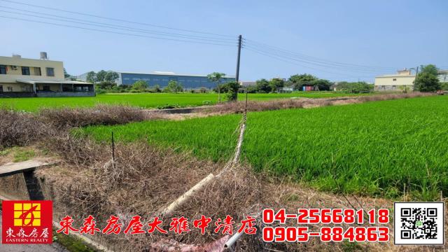 大雅農地-8