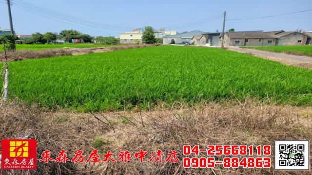 大雅農地-9