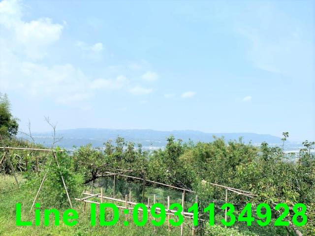 東勢農地-2