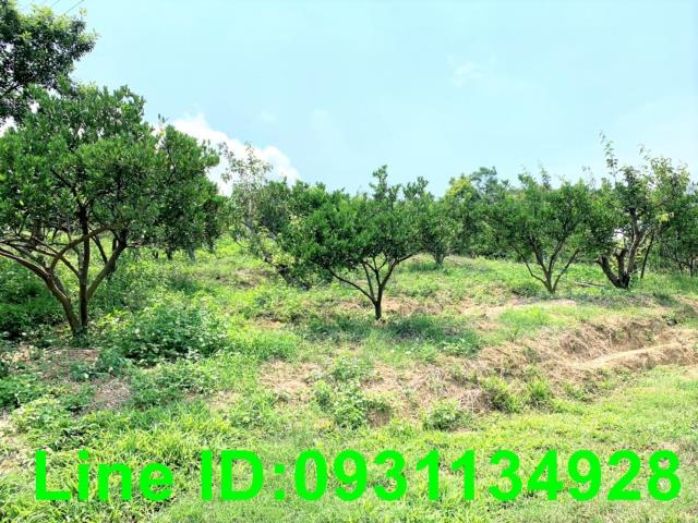 東勢農地-3