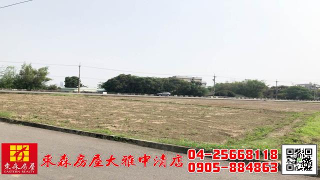 台中大雅農地-8