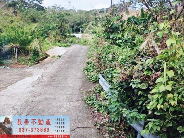 苗栗頭屋農地-2