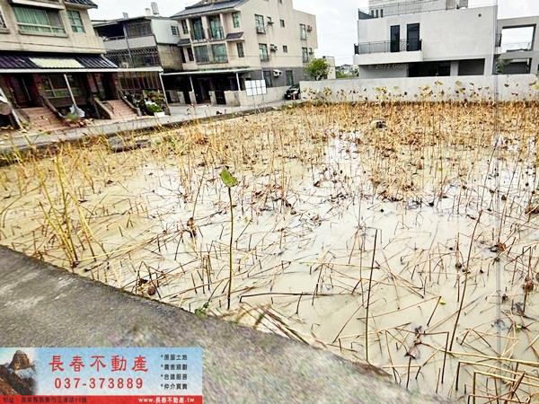 苗栗苗栗市農地-1