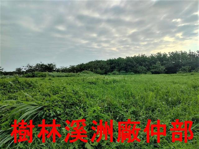 桃園新屋農地-5