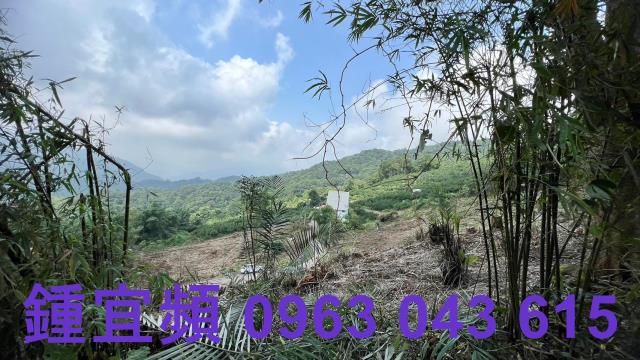 橫山農地-6