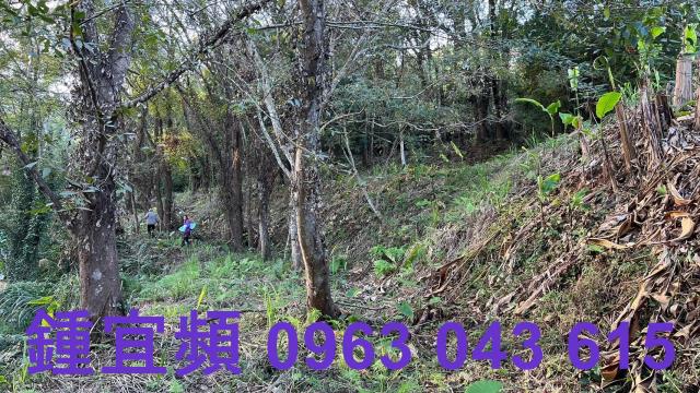 橫山農地-13